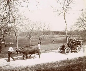 History of the automobile, car driving behind oxen on a country road near Hautefort