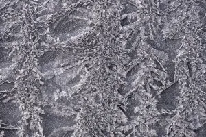 Hoarfrost, ice crystals, Bavaria, Germany