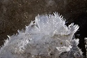 Hoarfrost, Winter, Germany