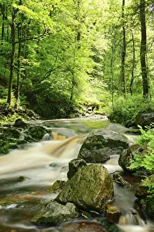 Hoegne stream, High Fens, Ardennes