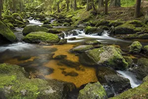 Hoellfall brook, Arbesbach stream