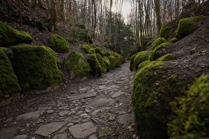Hohle Gasse, artificial ravine between Immensee and Kuessnacht am Rigi SZ