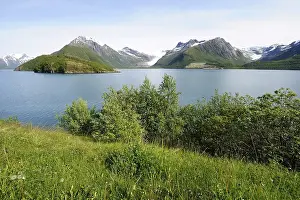 Holandsfjord with glacier Svartisen