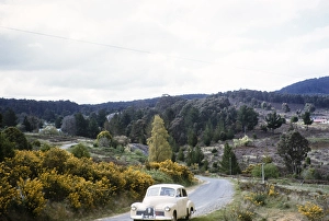 Holden 48 215 on tour through rural Victoria, Australia, 1956, on a country road thought to be the Grampians National Park, Oceania