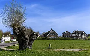 Holiday home development on the Baltic Sea beach