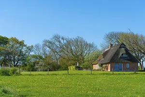 Holiday home, thatched roof, cottage