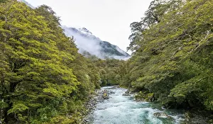 Hollyford River with mountains