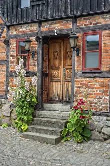 Hollyhocks (Alcea rosea) at a door tin a half-timbered house in a small street in the idyllic downtown of Ystad
