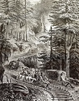 Holztransport mit einem Schlitten in den Bergen