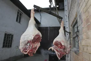 Home slaughter
