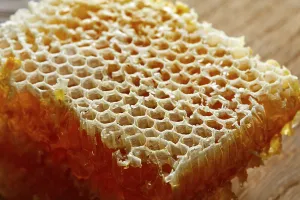 Honey honeycomb detail macro texture