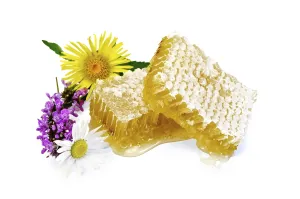 Honeycomb with fragrant honey, wild flowers isolated on white background
