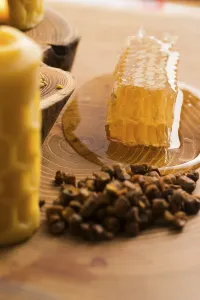Honeycomb, pollen and propolis