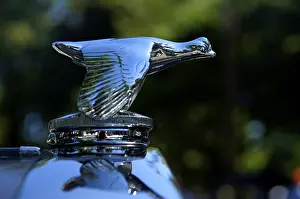 Hood ornament of a 1931 Ford at at Classic Car Show in Belvidere