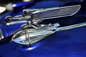 Hood ornament of a 1940 Packard at at Classic Car Show in Belvidere