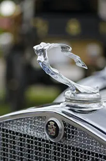 Hood ornament of a U.S.-American vintage Cadillac
