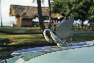 Hood ornament of a vintage car, Varadero, Cuba