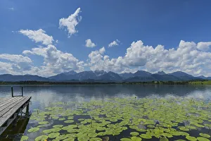 Hopfensee, Ostallgaeu, Allgaeu