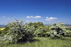 Horky u Milotic Nature Reserve