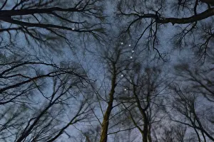 Horologium star constellation, Night sky