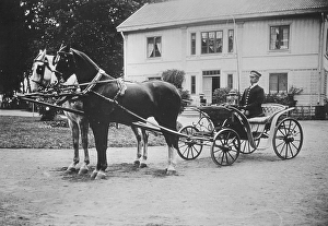Horse and carriage. A man in uniform is sitting ready in the carriage drawn by two horses