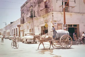 Horse and cart carrying a large barrel of drinking water, Campeche, Yucatan Peninsula, Mexico, 1961, Central America