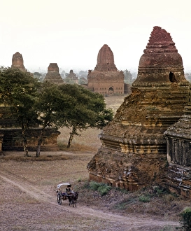 Category Buddhism Prints: Horse-drawn carriage in a field with ruins of Buddhist pagodas and temples