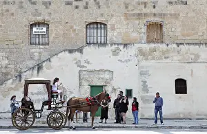 Horse-drawn carriage at St Elmo Exams Centre