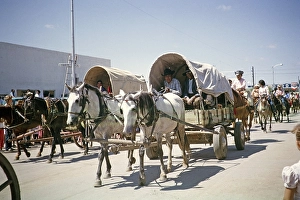 Horse-drawn covered wagons, Inter Tribal Indian Ceremonial Event, Gallup, New Mexico, USA 1963