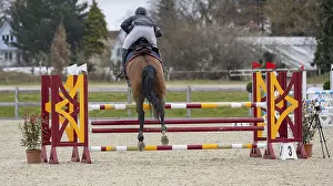 Horse jumps over an obstacle in show jumping Horse jumps over an obstacle in show jumping