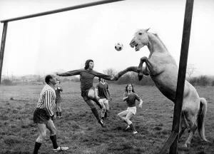 Horse plays football with men, England