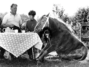 Horse sits with family at set table
