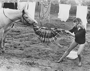 Horse steals skirt, England, Great Britain
