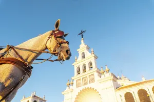 A horse next to the white facade in the sunset at the Rocio sanctuary in the Rocio festival