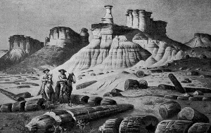 Horseman in the Petrified Forest in Arizona