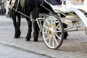 Horses with a carriage on the main square of Krakow in Poland
