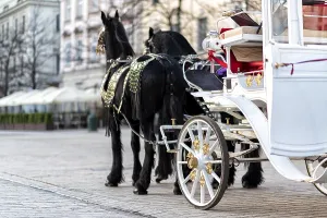 Horses with a carriage on the main square of Krakow in Poland