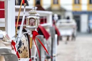 Horses with a carriage on the main square of Krakow in Poland