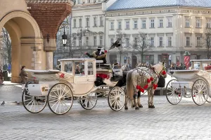 Horses with a carriage on the main square of Krakow in Poland