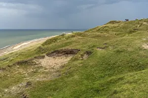 Horses in the Svinklovene dunes at Jammer Bay