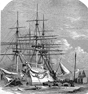 The Hospital Ships for the English Expedition to Abyssinia