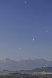 Hot air balloons, morning light