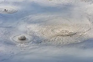 Hot bubbling mud, Waiotapu Thermal Park