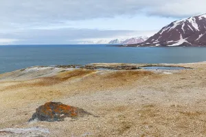 Hot spring, discoloured rock, sinter