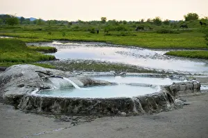Hot spring pool in nature with horses in the background and a gentle evening light