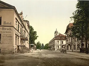 Hotel weisser Deer, Dresden, Saxony, c