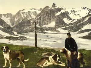 The Hounds of St. Bernard, St. Bernard
