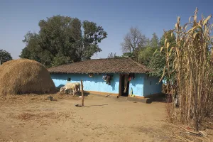 House, bastar, chhattisgarh, india, asia