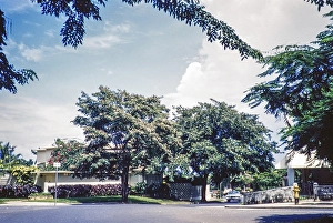 Houses in a residential suburb, San Juan, Puerto Rico 1961