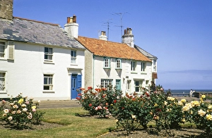 Huebsches historisches Kuestenhaeuschen und Rosenstraeucher, Southwold, Suffolk, England, UK Juli 1971
